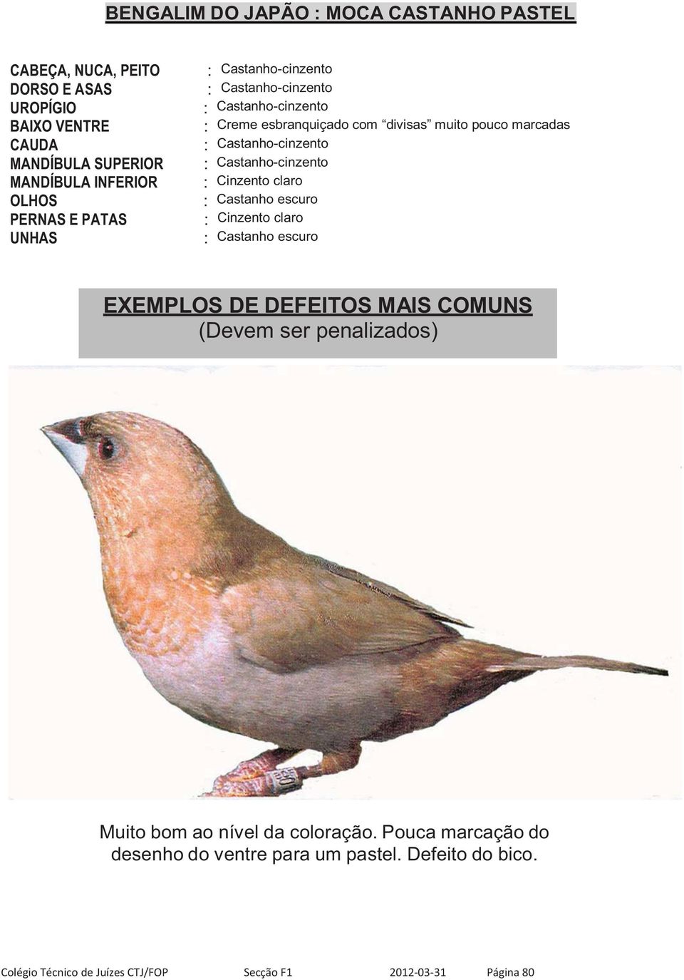 Castanho-cinzento : Cinzento claro : Castanho escuro : Cinzento claro : Castanho escuro EXEMPLOS DE DEFEITOS MAIS COMUNS (Devem ser penalizados) Muito