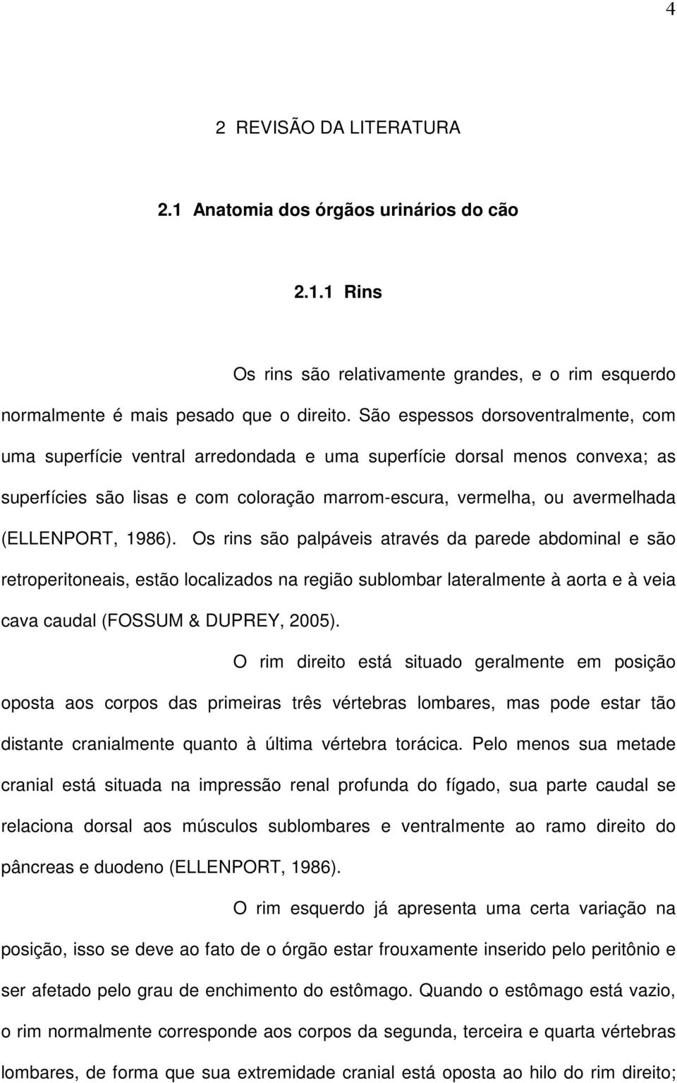 (ELLENPORT, 1986). Os rins são palpáveis através da parede abdominal e são retroperitoneais, estão localizados na região sublombar lateralmente à aorta e à veia cava caudal (FOSSUM & DUPREY, 2005).