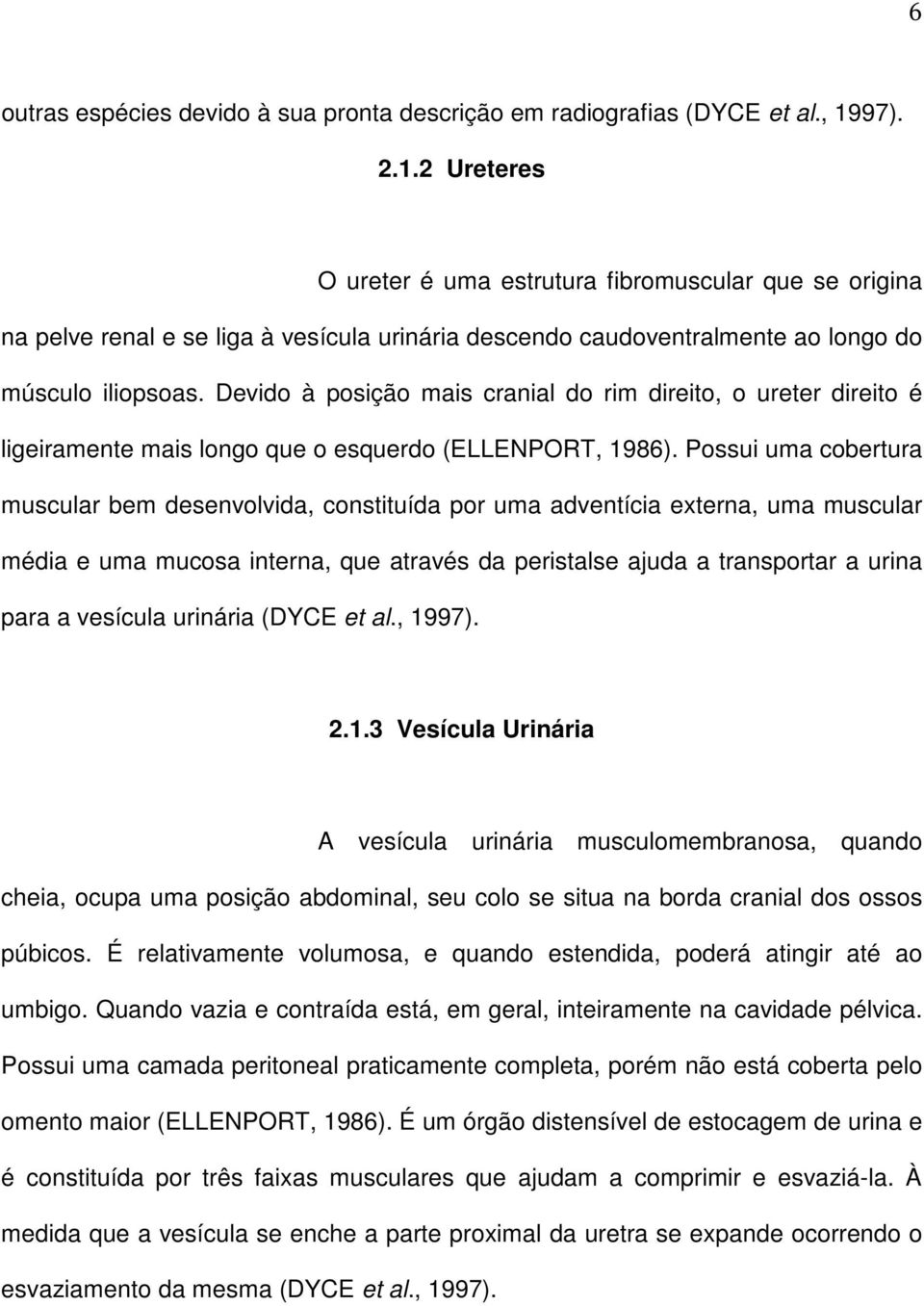 Devido à posição mais cranial do rim direito, o ureter direito é ligeiramente mais longo que o esquerdo (ELLENPORT, 1986).