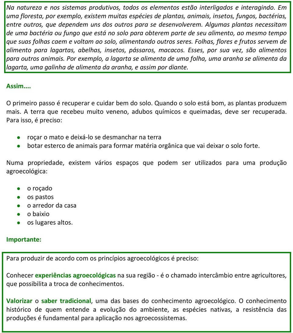 Algumas plantas necessitam de uma bactéria ou fungo que está no solo para obterem parte de seu alimento, ao mesmo tempo que suas folhas caem e voltam ao solo, alimentando outros seres.