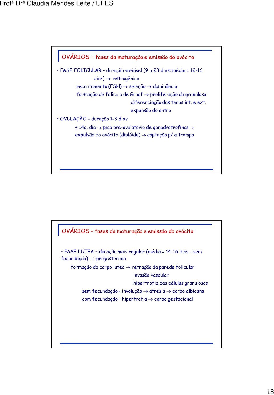 dia pico prü-ovulatério de gonadrotrofinas expulsño do ovécito (dipléide) captaäño p/ a trompa OVçRIOS fases da maturaäño e emissño do ovécito FASE LêTEA duraäño mais regular (müdia =