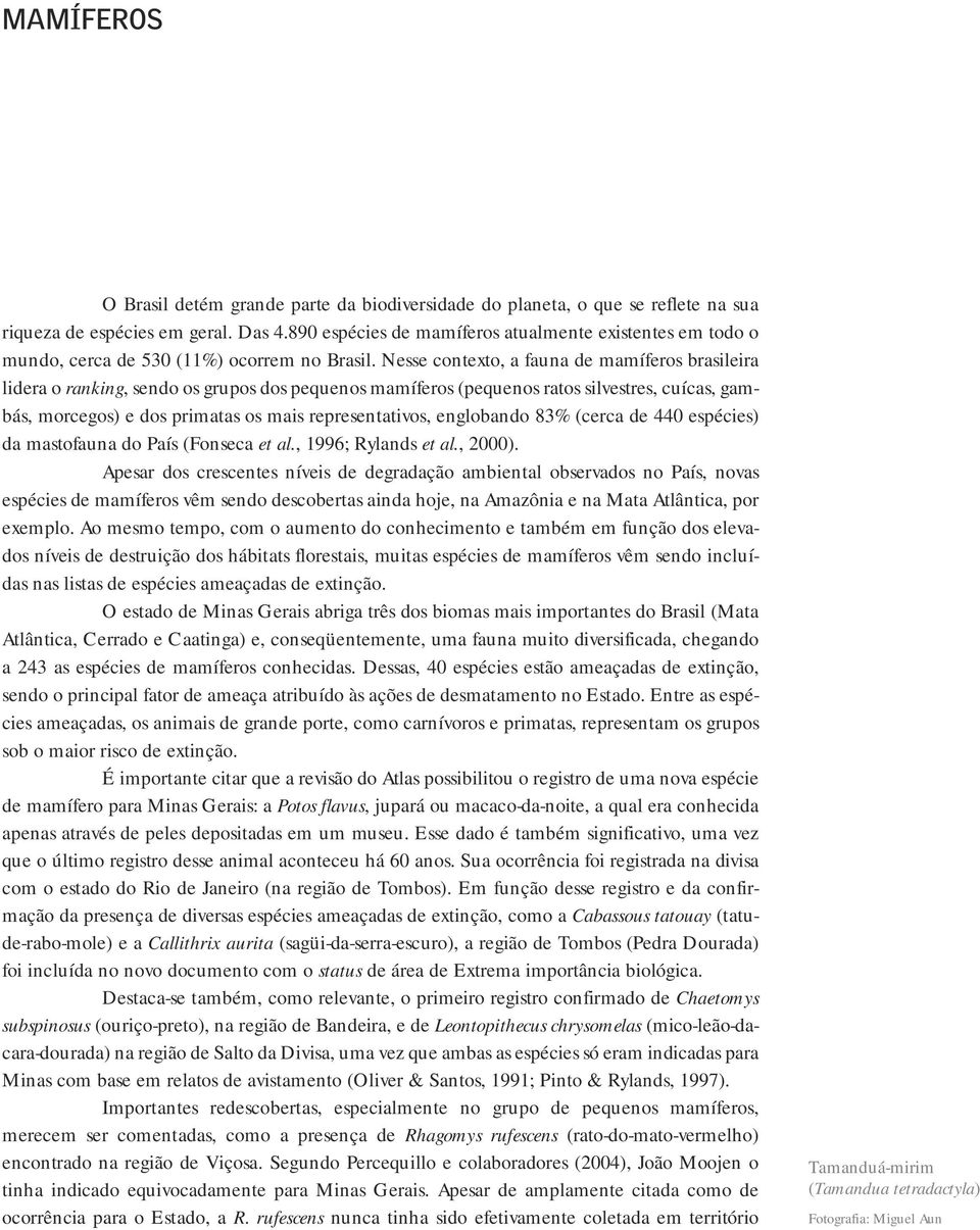 Nesse contexto, a fauna de mamíferos brasileira lidera o ranking, sendo os grupos dos pequenos mamíferos (pequenos ratos silvestres, cuícas, gambás, morcegos) e dos primatas os mais representativos,