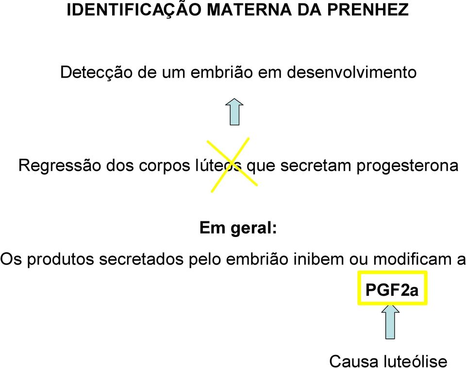 que secretam progesterona Em geral: Os produtos