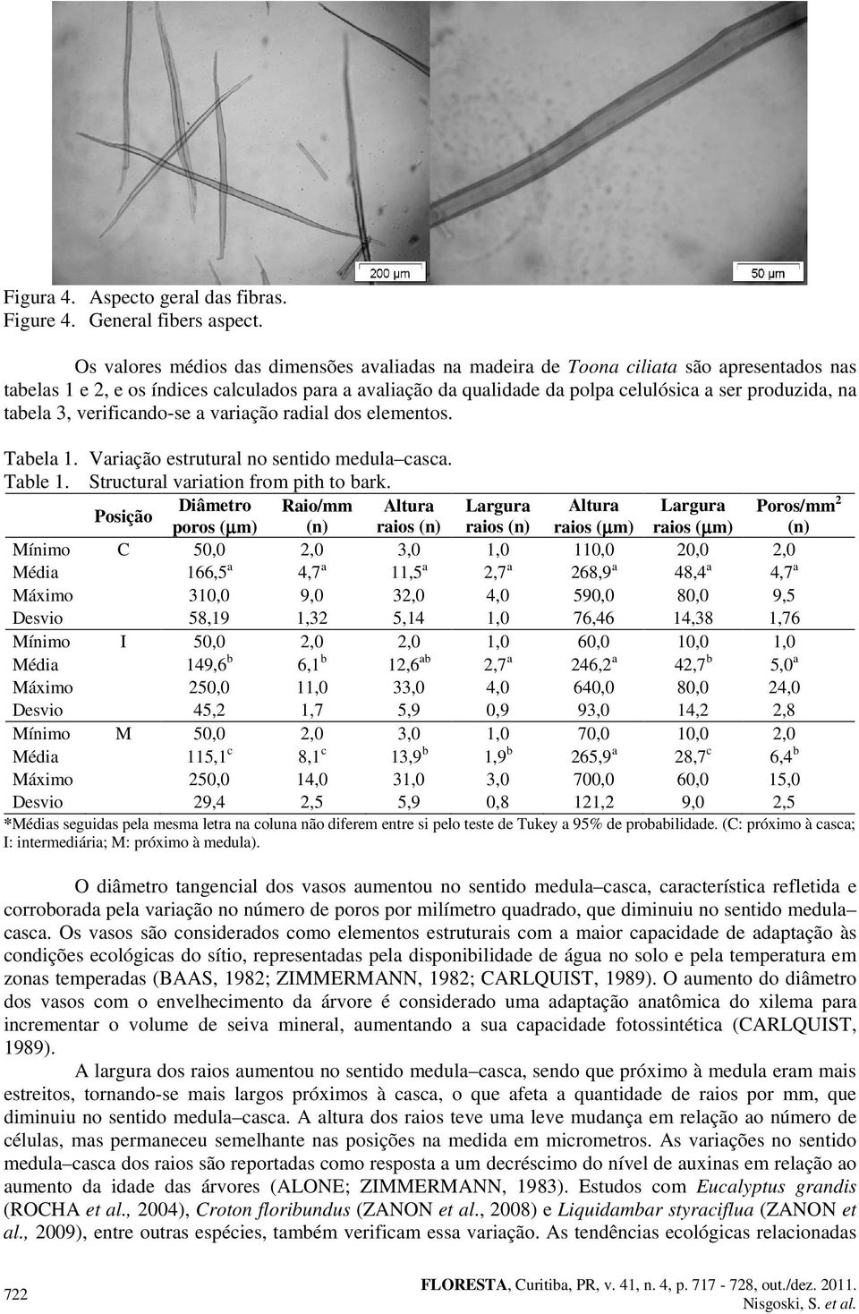 tabela 3, verificando-se a variação radial dos elementos. Tabela 1. Variação estrutural no sentido medula casca. Table 1. Structural variation from pith to bark.