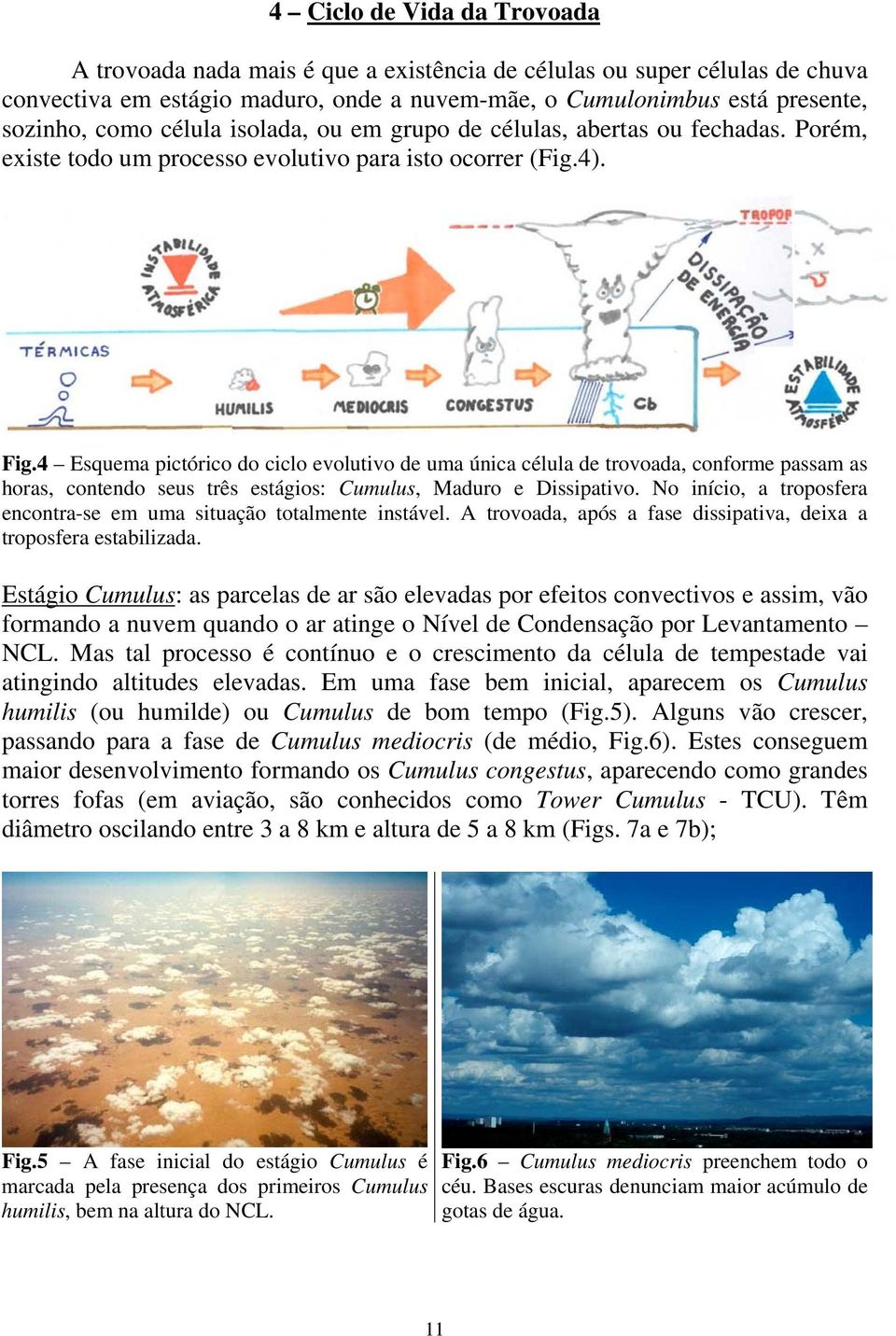 4 Esquema pictórico do ciclo evolutivo de uma única célula de trovoada, conforme passam as horas, contendo seus três estágios: Cumulus, Maduro e Dissipativo.