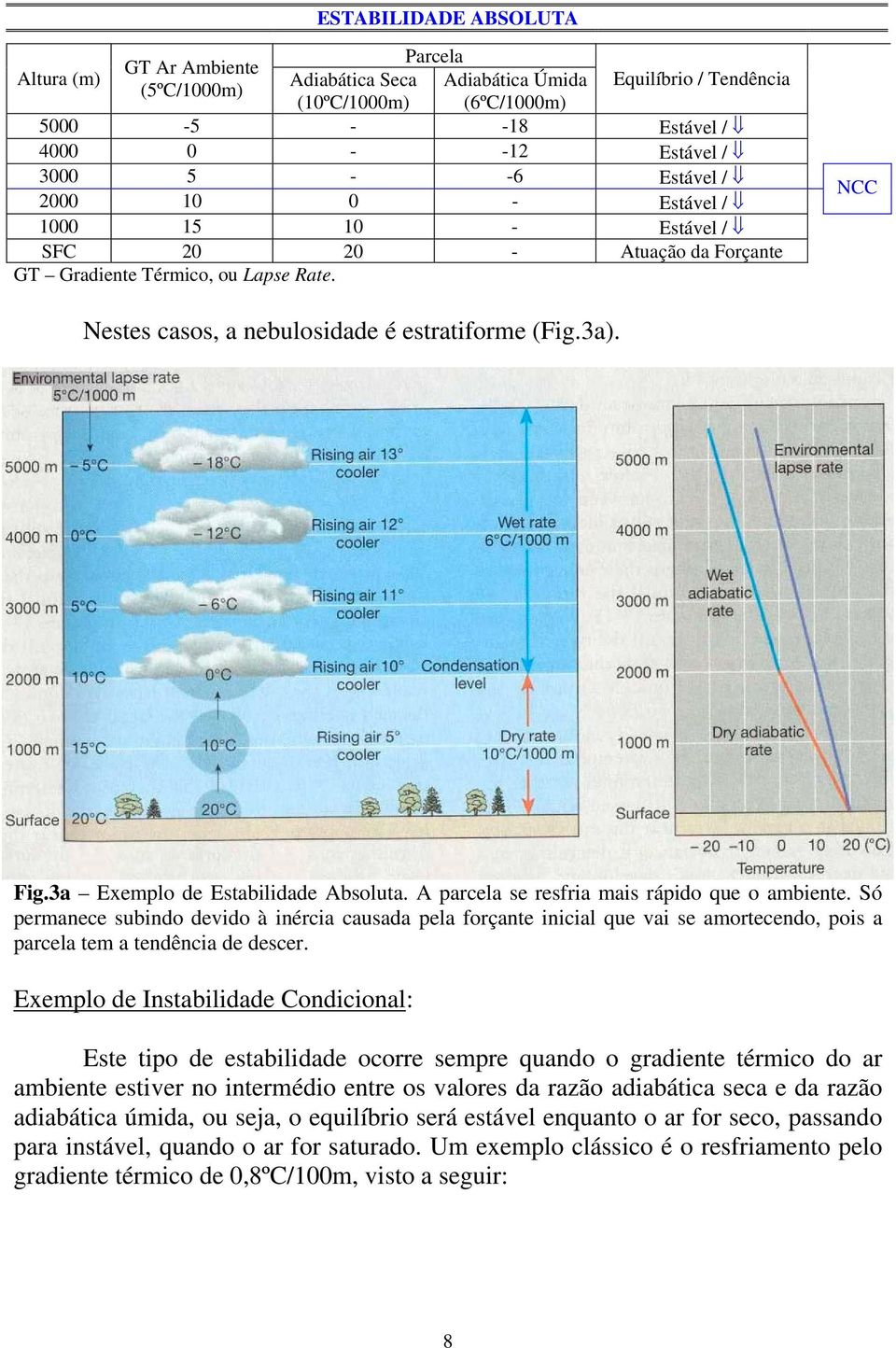 3a Exemplo de Estabilidade Absoluta. A parcela se resfria mais rápido que o ambiente.