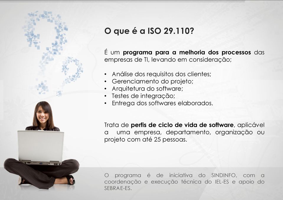 clientes; Gerenciamento do projeto; Arquitetura do software; Testes de integração; Entrega dos softwares elaborados.