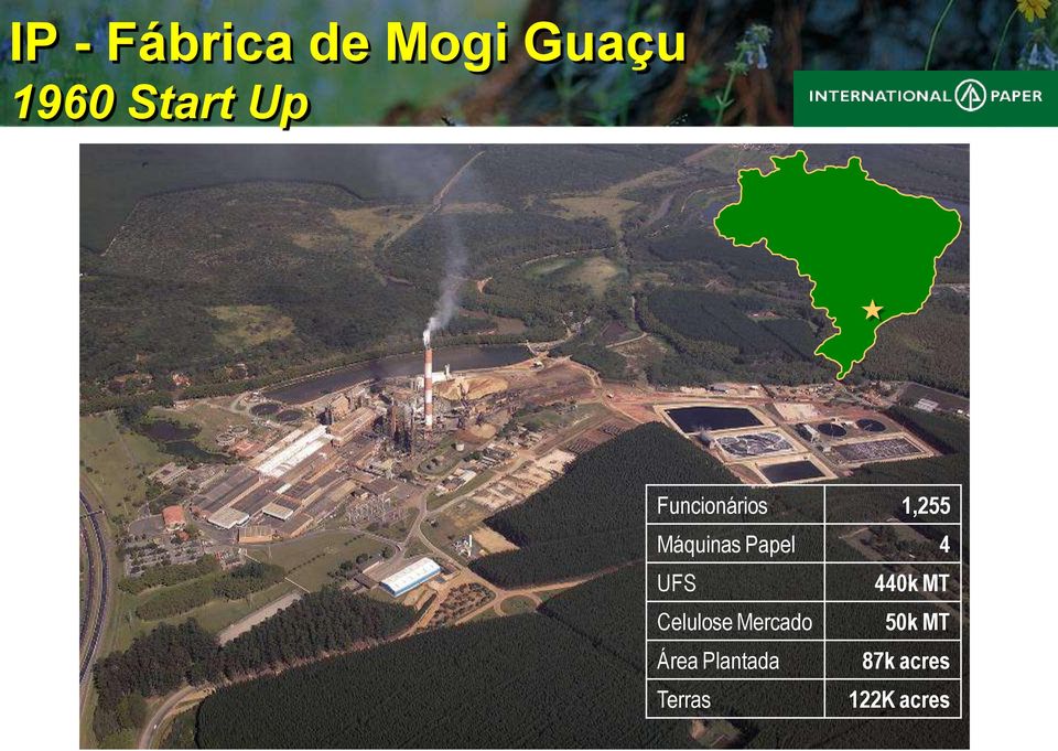 440k MT Celulose Mercado 50k MT Área