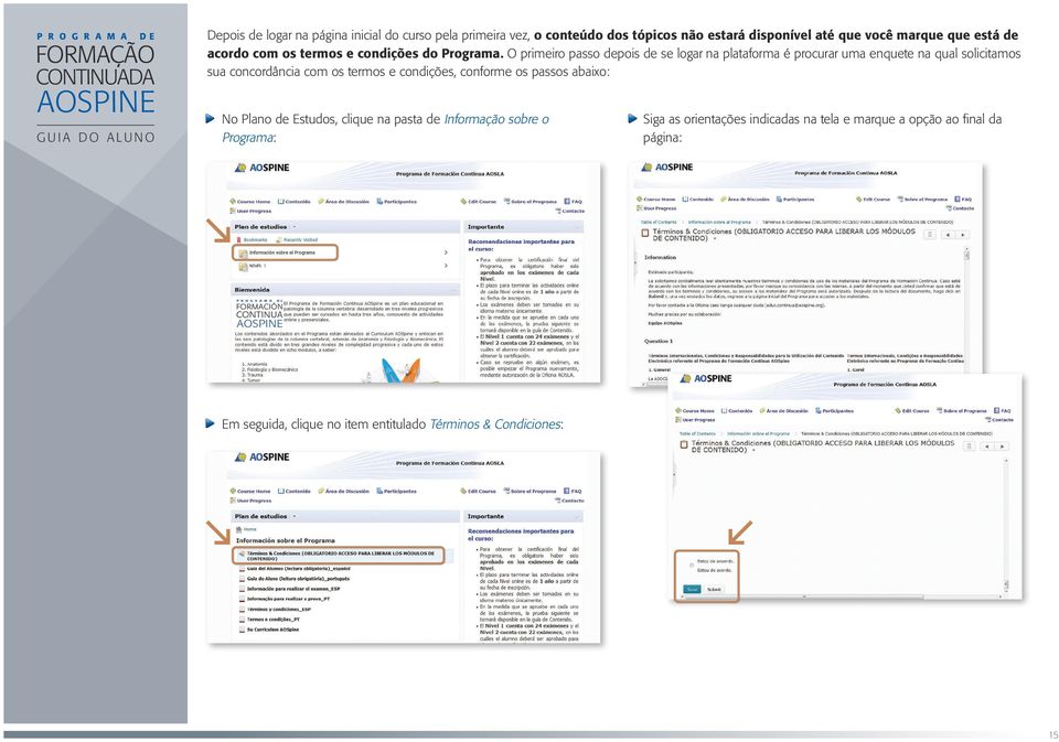 O primeiro passo depois de se logar na plataforma é procurar uma enquete na qual solicitamos sua concordância com os termos e condições,