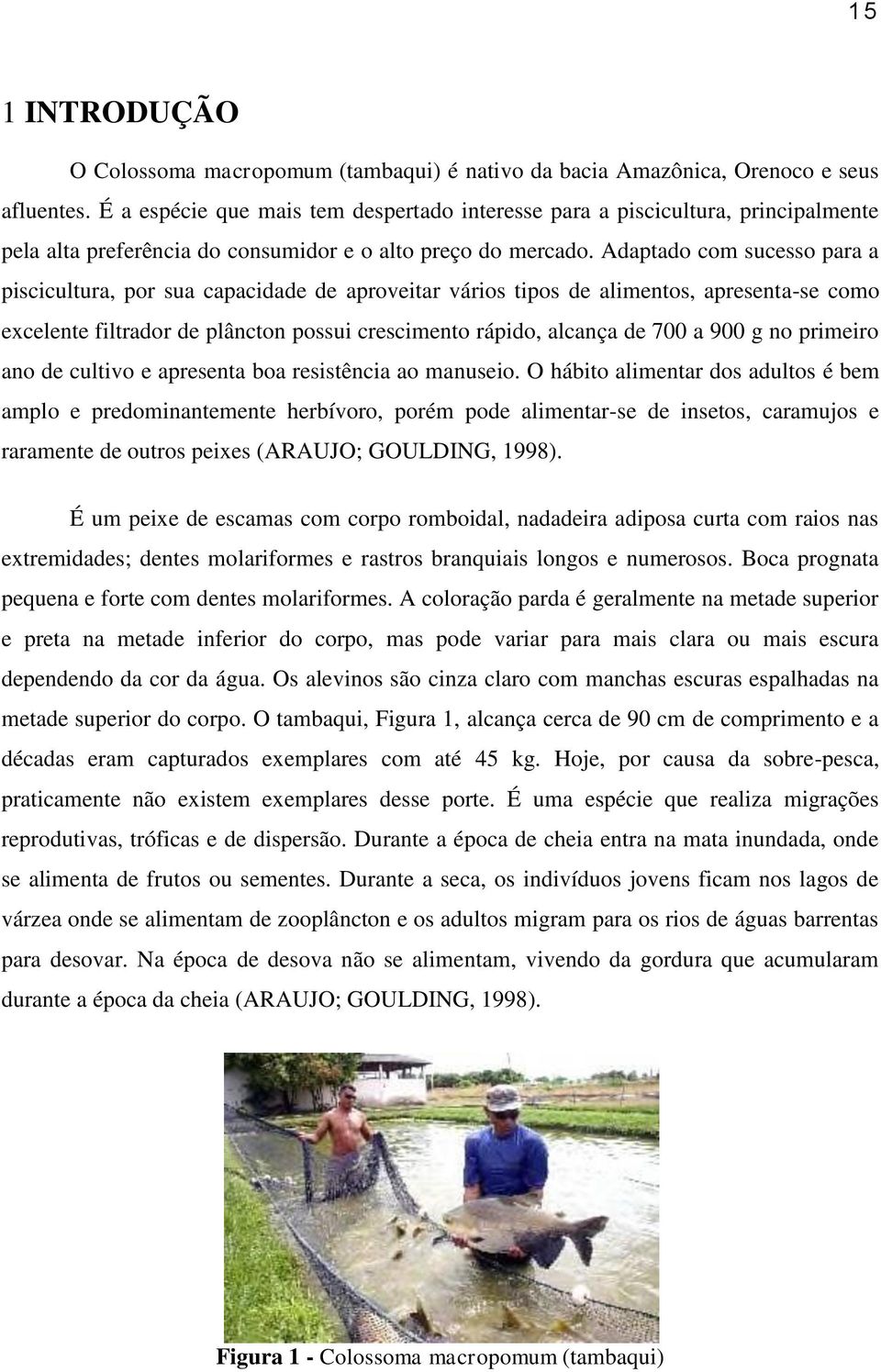 Adaptado com sucesso para a piscicultura, por sua capacidade de aproveitar vários tipos de alimentos, apresenta-se como excelente filtrador de plâncton possui crescimento rápido, alcança de 700 a 900