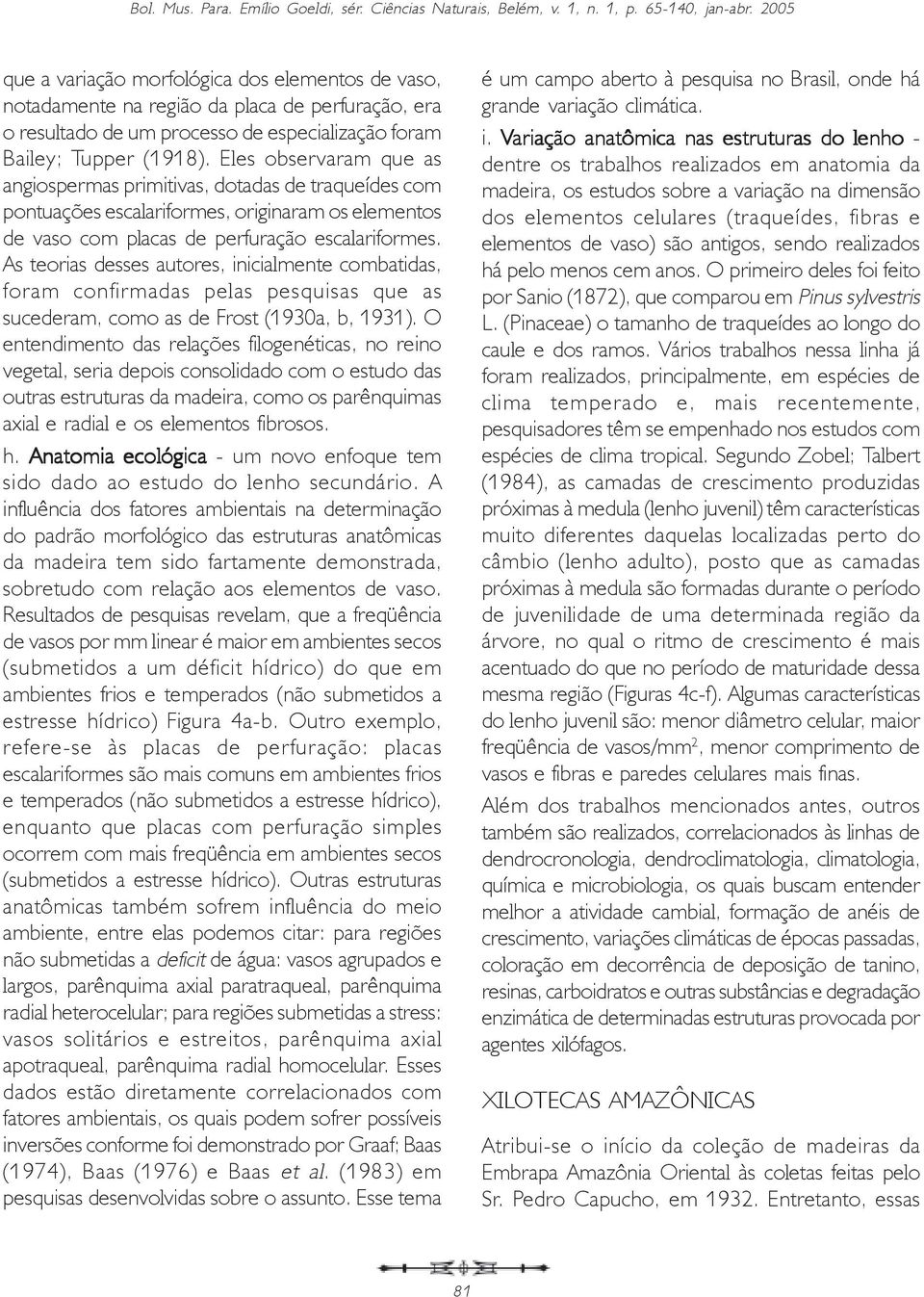 Eles observaram que as angiospermas primitivas, dotadas de traqueídes com pontuações escalariformes, originaram os elementos de vaso com placas de perfuração escalariformes.