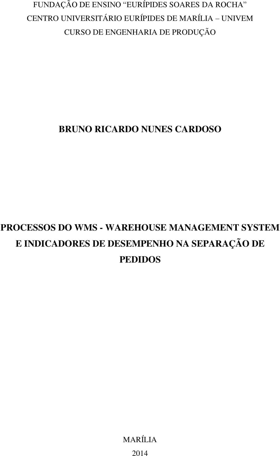 PRODUÇÃO BRUNO RICARDO NUNES CARDOSO PROCESSOS DO WMS - WAREHOUSE