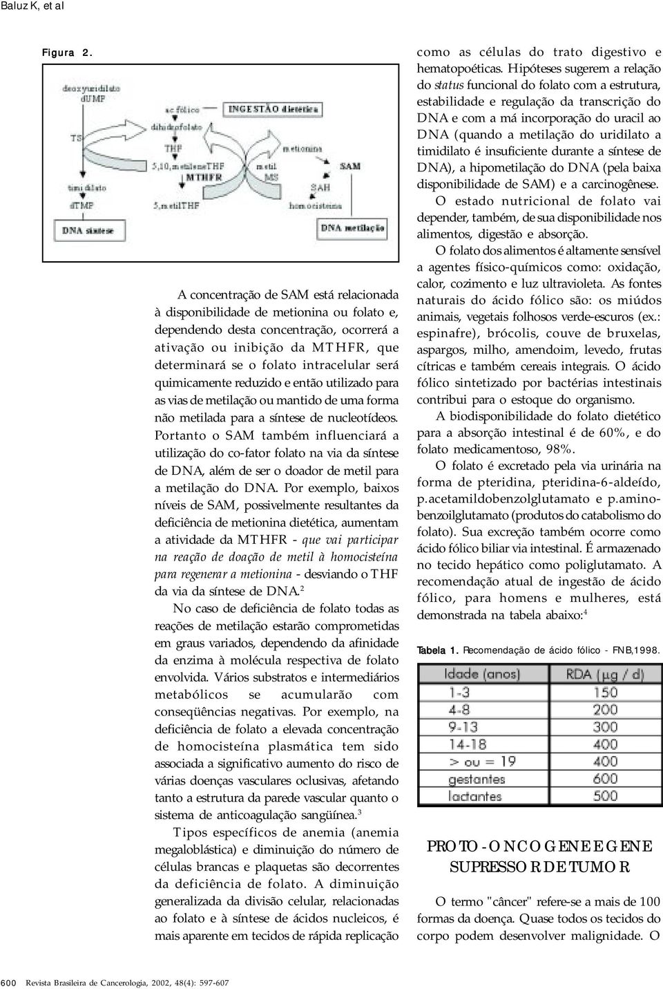 será quimicamente reduzido e então utilizado para as vias de metilação ou mantido de uma forma não metilada para a síntese de nucleotídeos.