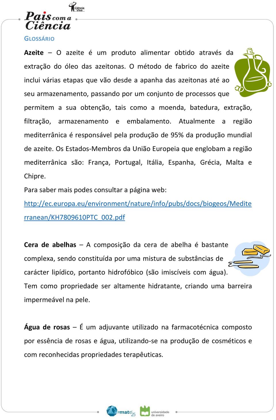 moenda, batedura, extração, filtração, armazenamento e embalamento. Atualmente a região mediterrânica é responsável pela produção de 95% da produção mundial de azeite.