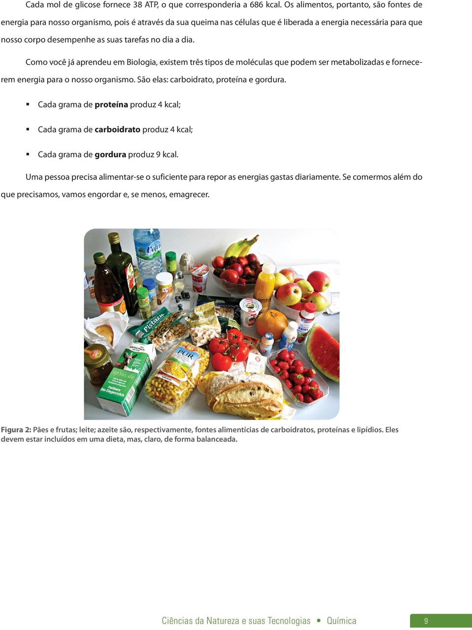 a dia. Como você já aprendeu em Biologia, existem três tipos de moléculas que podem ser metabolizadas e fornecerem energia para o nosso organismo. São elas: carboidrato, proteína e gordura.