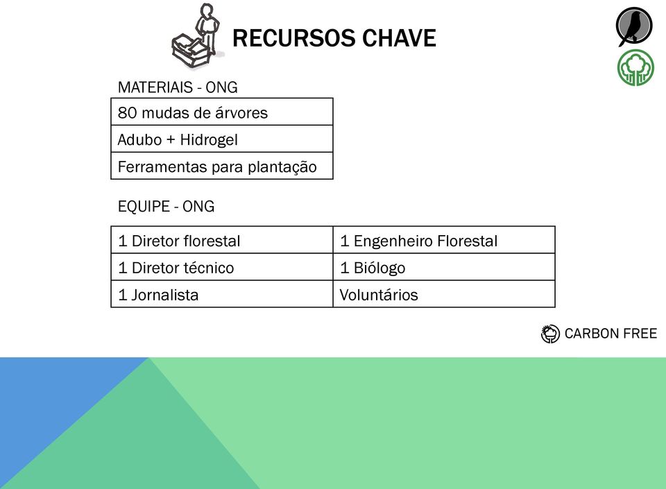 - ONG 1 Diretor florestal 1 Engenheiro Florestal 1