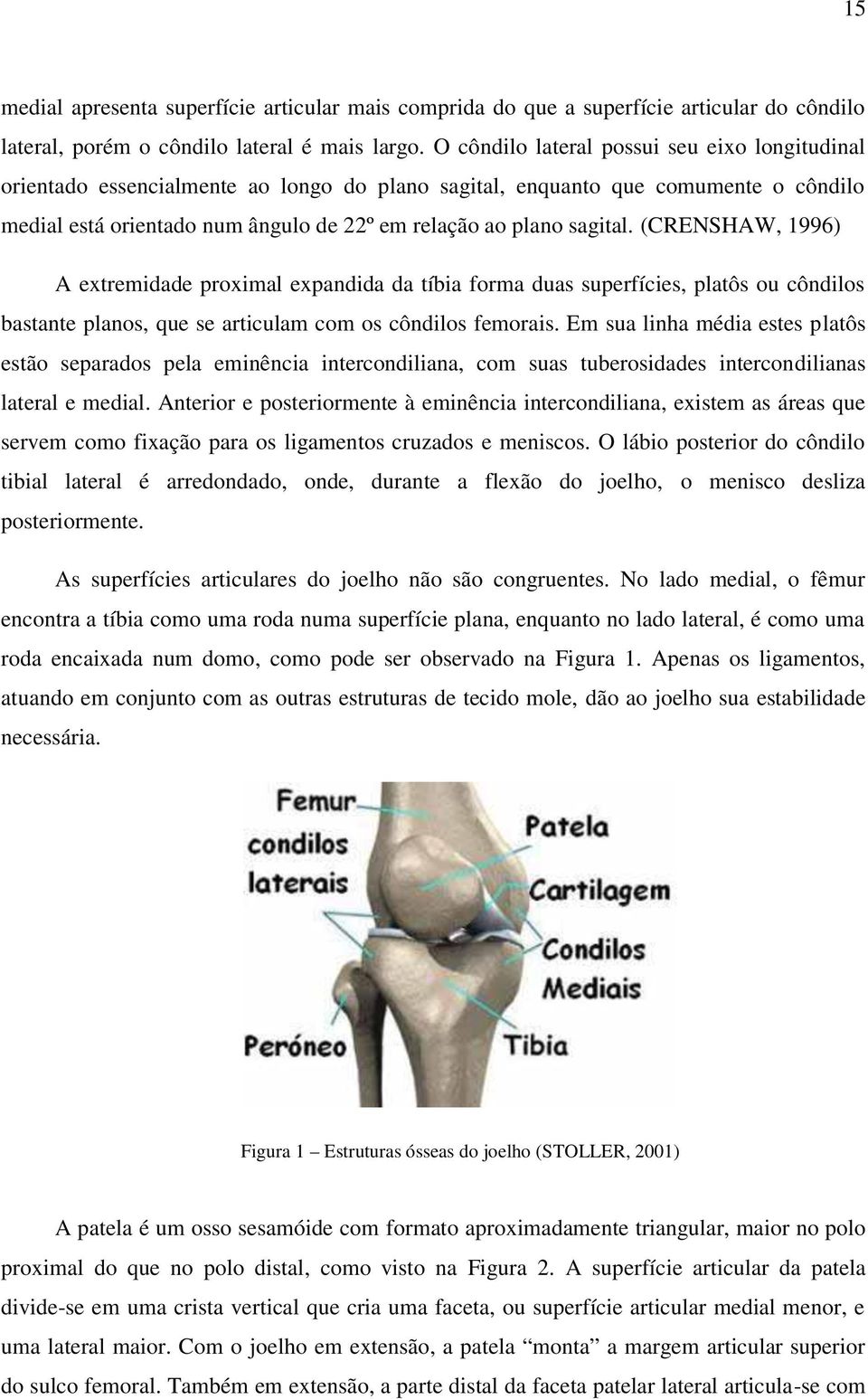 (CRENSHAW, 1996) A extremidade proximal expandida da tíbia forma duas superfícies, platôs ou côndilos bastante planos, que se articulam com os côndilos femorais.