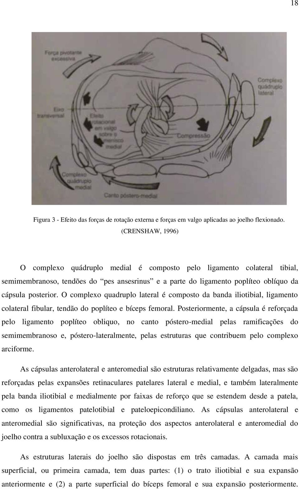 O complexo quadruplo lateral é composto da banda iliotibial, ligamento colateral fibular, tendão do poplíteo e bíceps femoral.