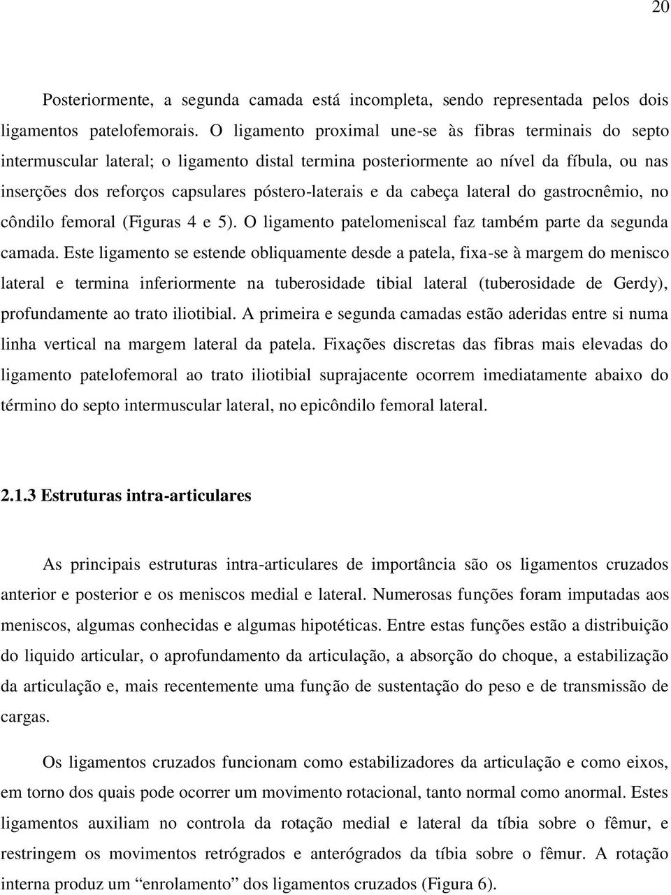 e da cabeça lateral do gastrocnêmio, no côndilo femoral (Figuras 4 e 5). O ligamento patelomeniscal faz também parte da segunda camada.