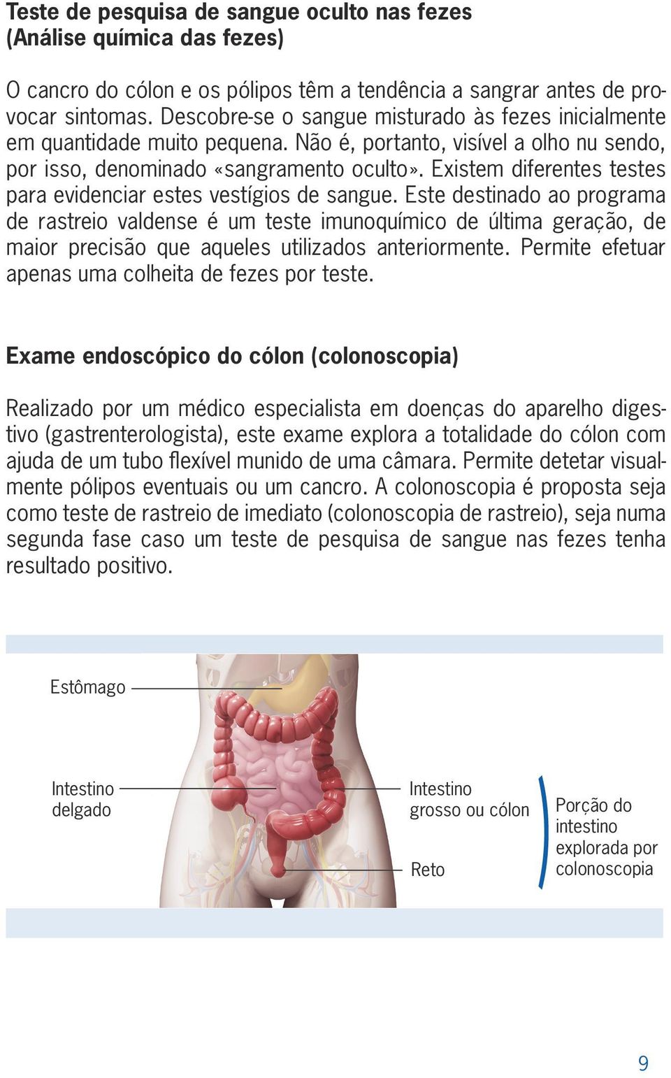 Existem diferentes testes para evidenciar estes vestígios de sangue.