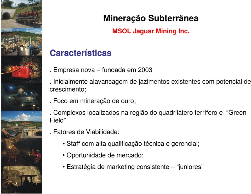 Foco em mineração de ouro;. Complexos localizados na região do quadrilátero ferrífero e Green Field.