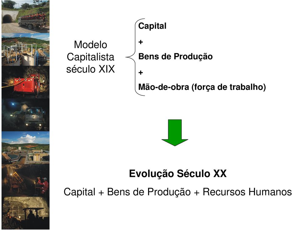 (força de trabalho) Evolução Século XX