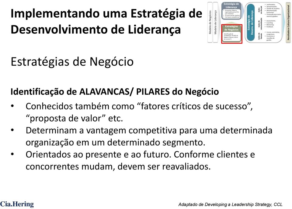 Determinam a vantagem competitiva para uma determinada organização em um determinado segmento.