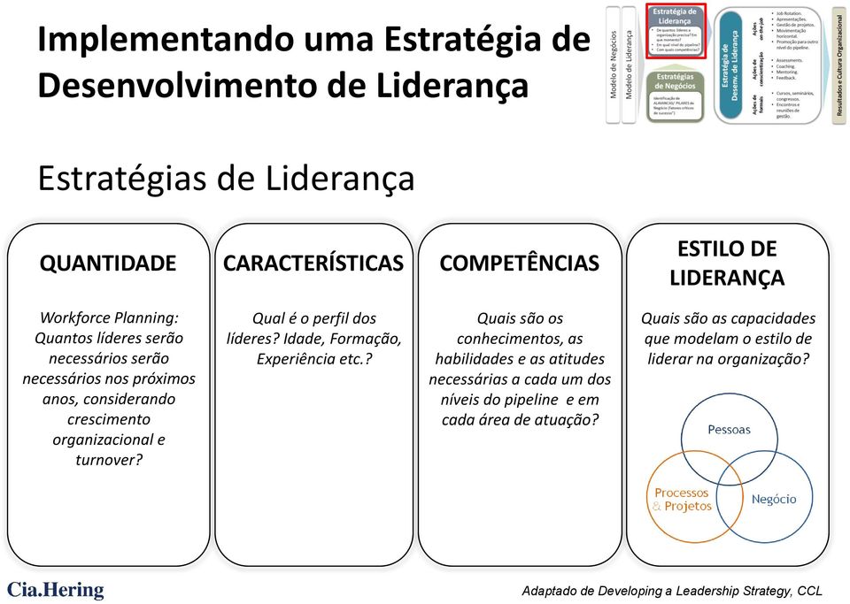 Qual é o perfil dos líderes? Idade, Formação, Experiência etc.