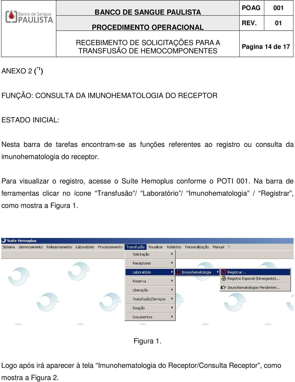 Para visualizar o registro, acesse o Suíte Hemoplus conforme o POTI 001.