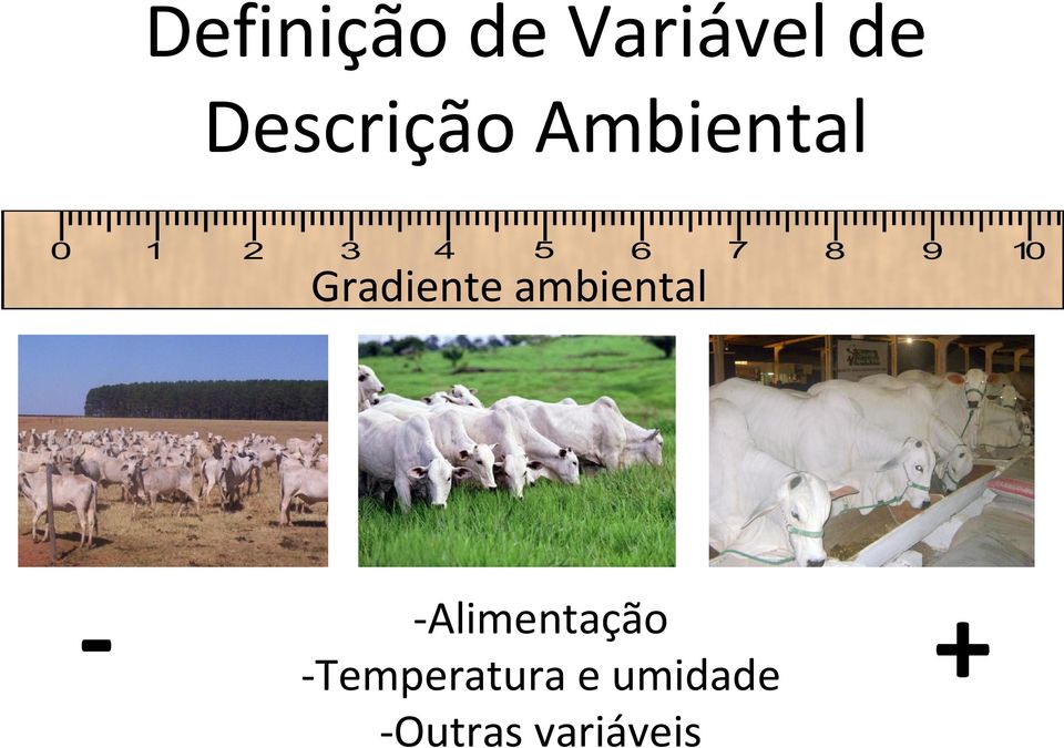 ambiental - -Alimentação