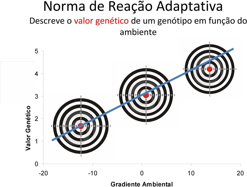 Valor Genético (DEP em kg) 4 3 2 1 Vgen = a +b.