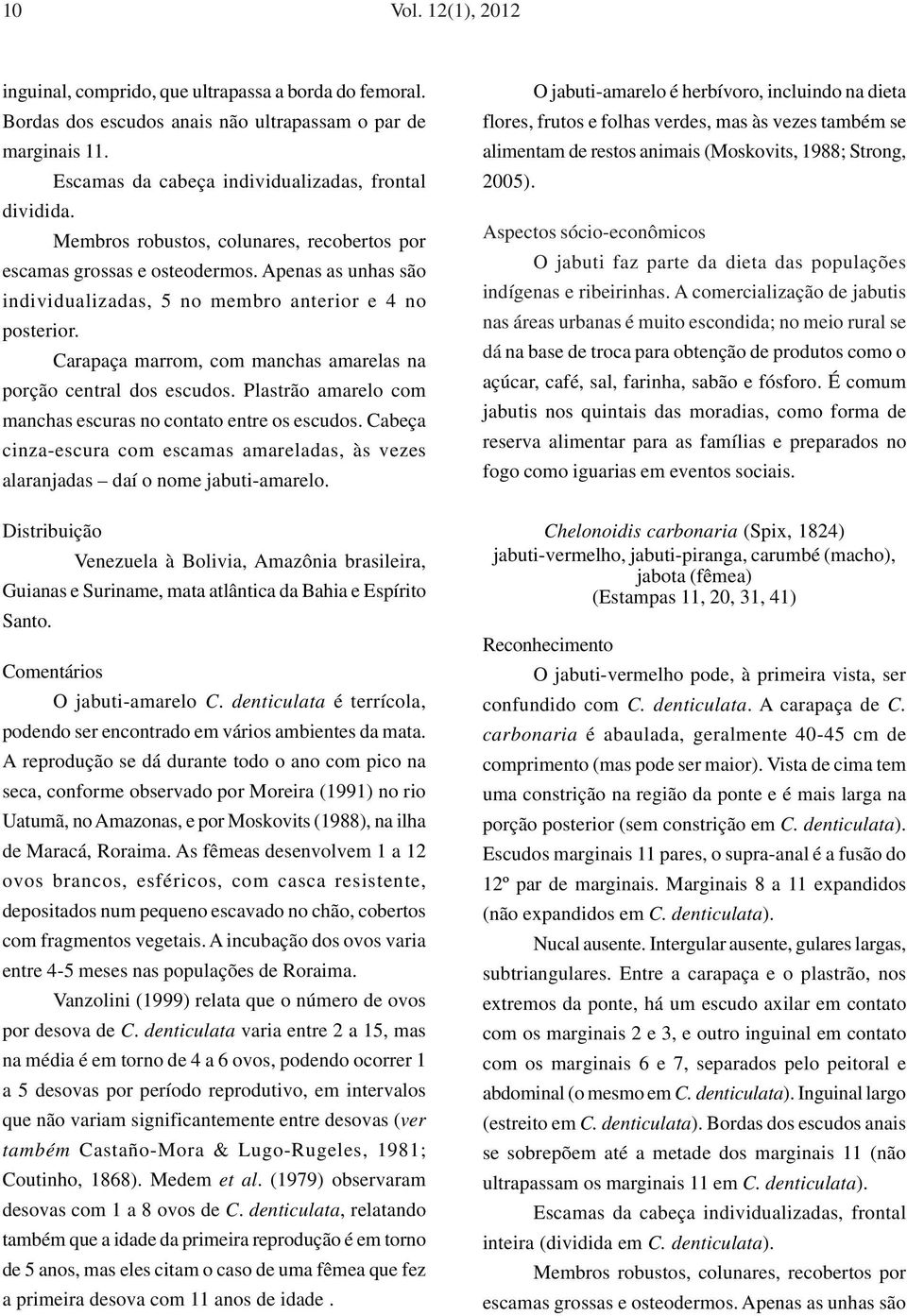 Carapaça marrom, com manchas amarelas na porção central dos escudos. Plastrão amarelo com manchas escuras no contato entre os escudos.