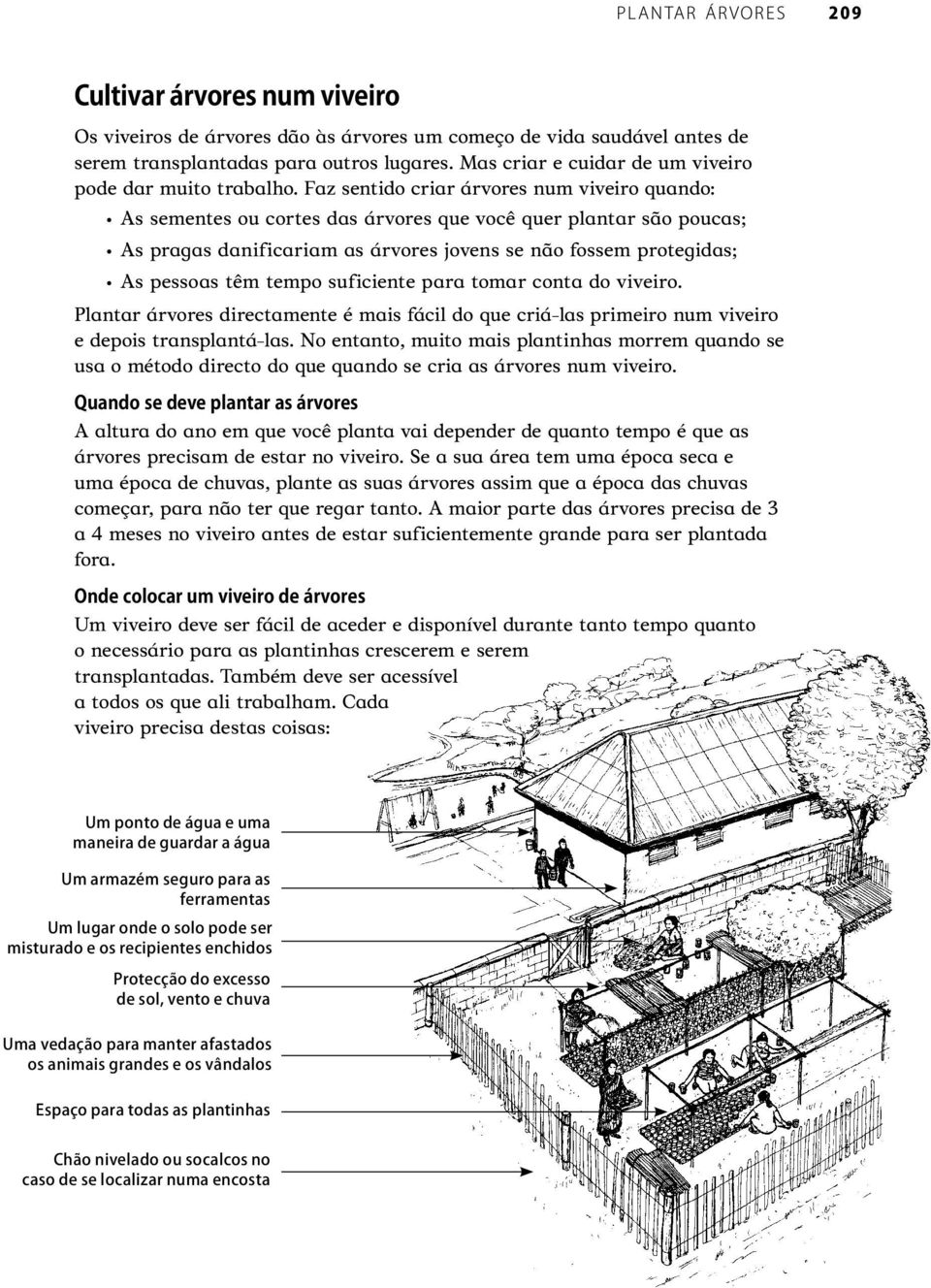 tempo suficiente para tomar conta do viveiro. Plantar árvores directamente é mais fácil do que criá-las primeiro num viveiro e depois transplantá-las.