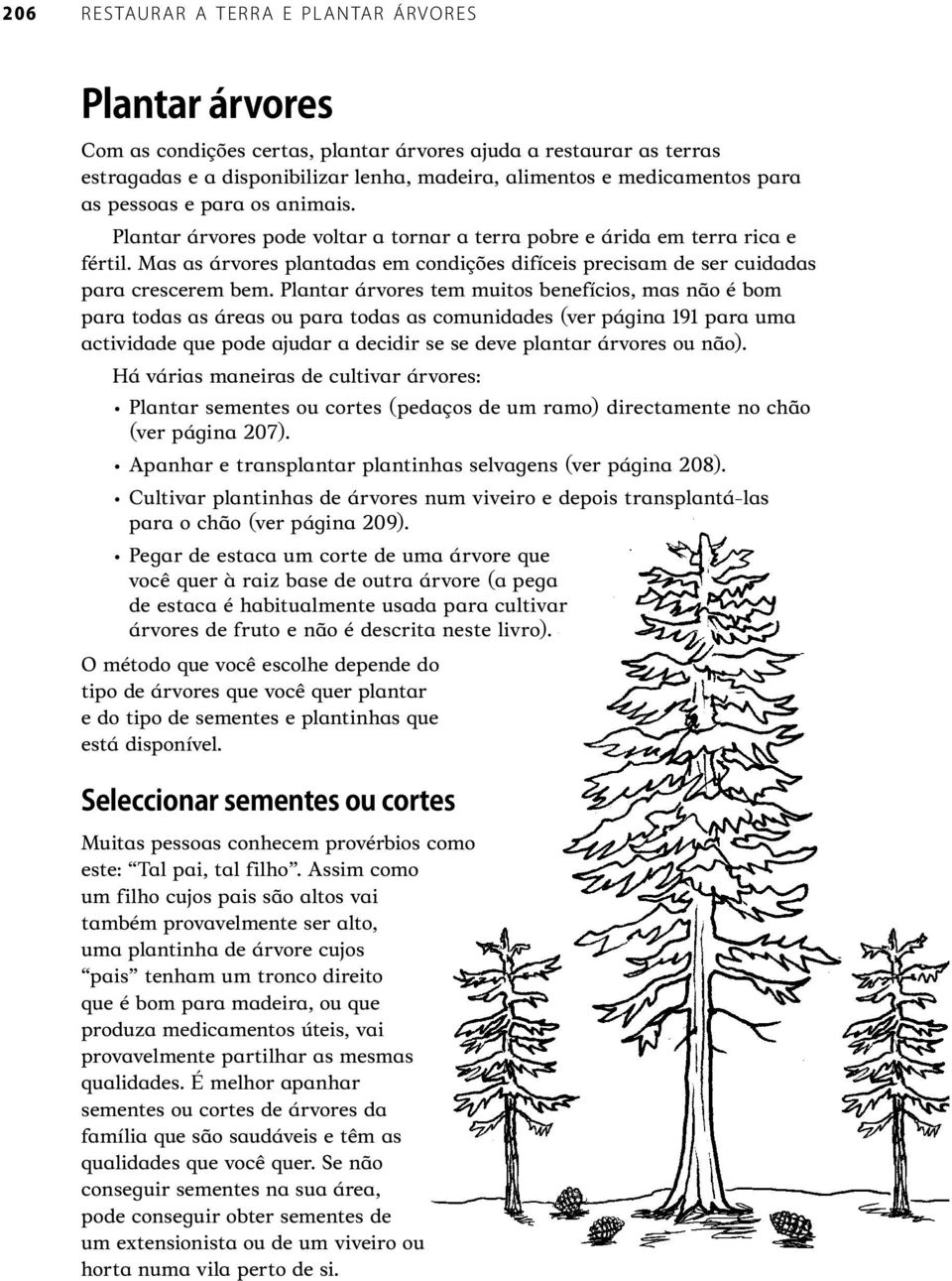 Plantar árvores tem muitos benefícios, mas não é bom para todas as áreas ou para todas as comunidades (ver página 191 para uma actividade que pode ajudar a decidir se se deve plantar árvores ou não).
