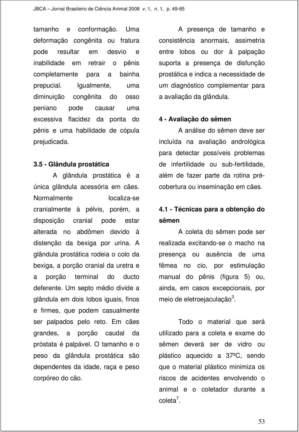 5 - Glândula prostática A glândula prostática é a única glândula acessória em cães.