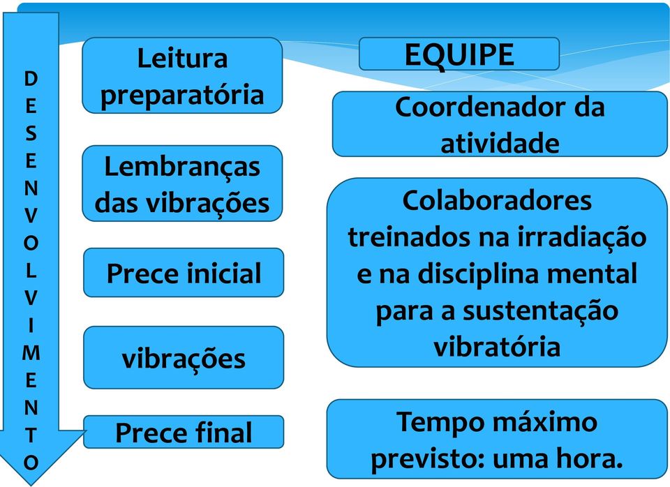 da atividade Colaboradores treinados na irradiação e na disciplina