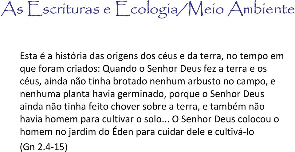 planta havia germinado, porque o Senhor Deus ainda não tinha feito chover sobre a terra, e também não havia