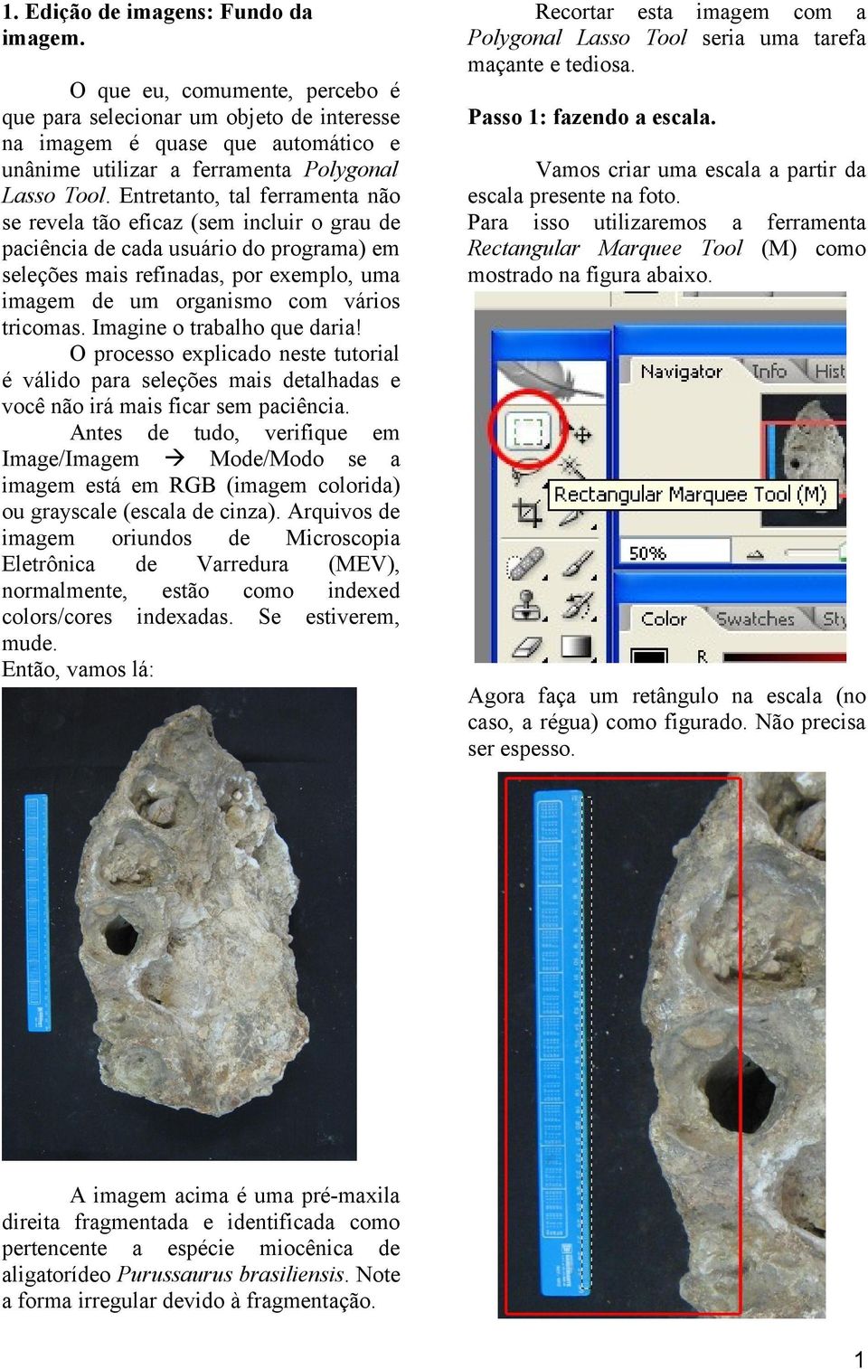 tricomas. Imagine o trabalho que daria! O processo explicado neste tutorial é válido para seleções mais detalhadas e você não irá mais ficar sem paciência.