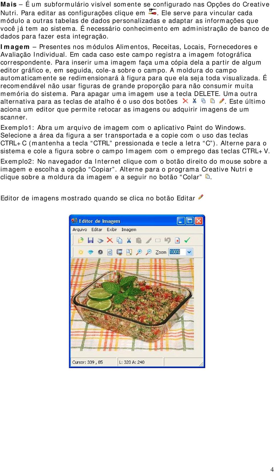 É necessário conhecimento em administração de banco de dados para fazer esta integração. Imagem Presentes nos módulos Alimentos, Receitas, Locais, Fornecedores e Avaliação Individual.