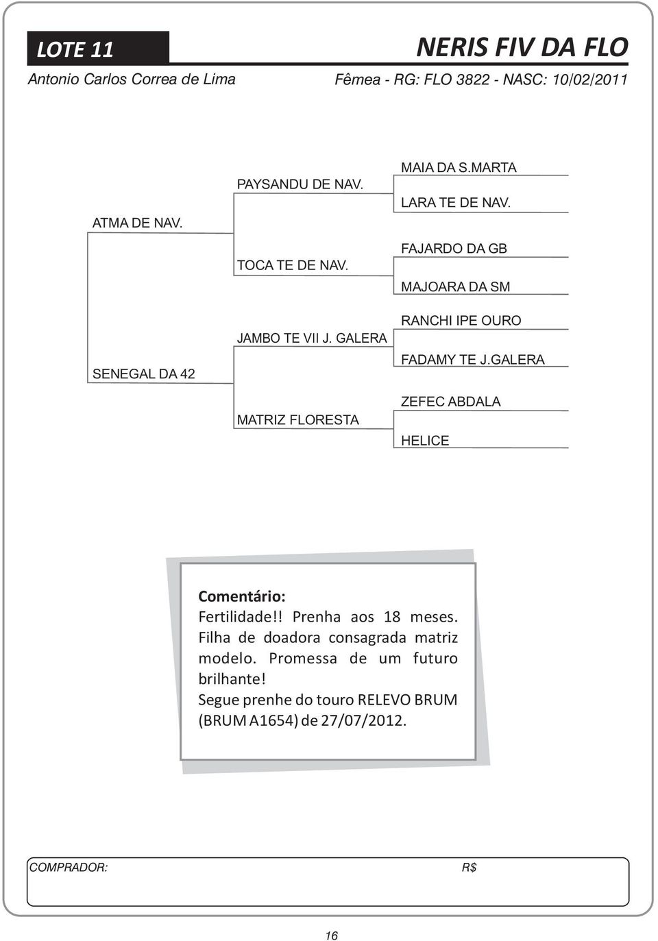 FAJARDO DA GB MAJOARA DA SM RANCHI IPE OURO FADAMY TE J.GALERA ZEFEC ABDALA HELICE Comentário: Fertilidade!