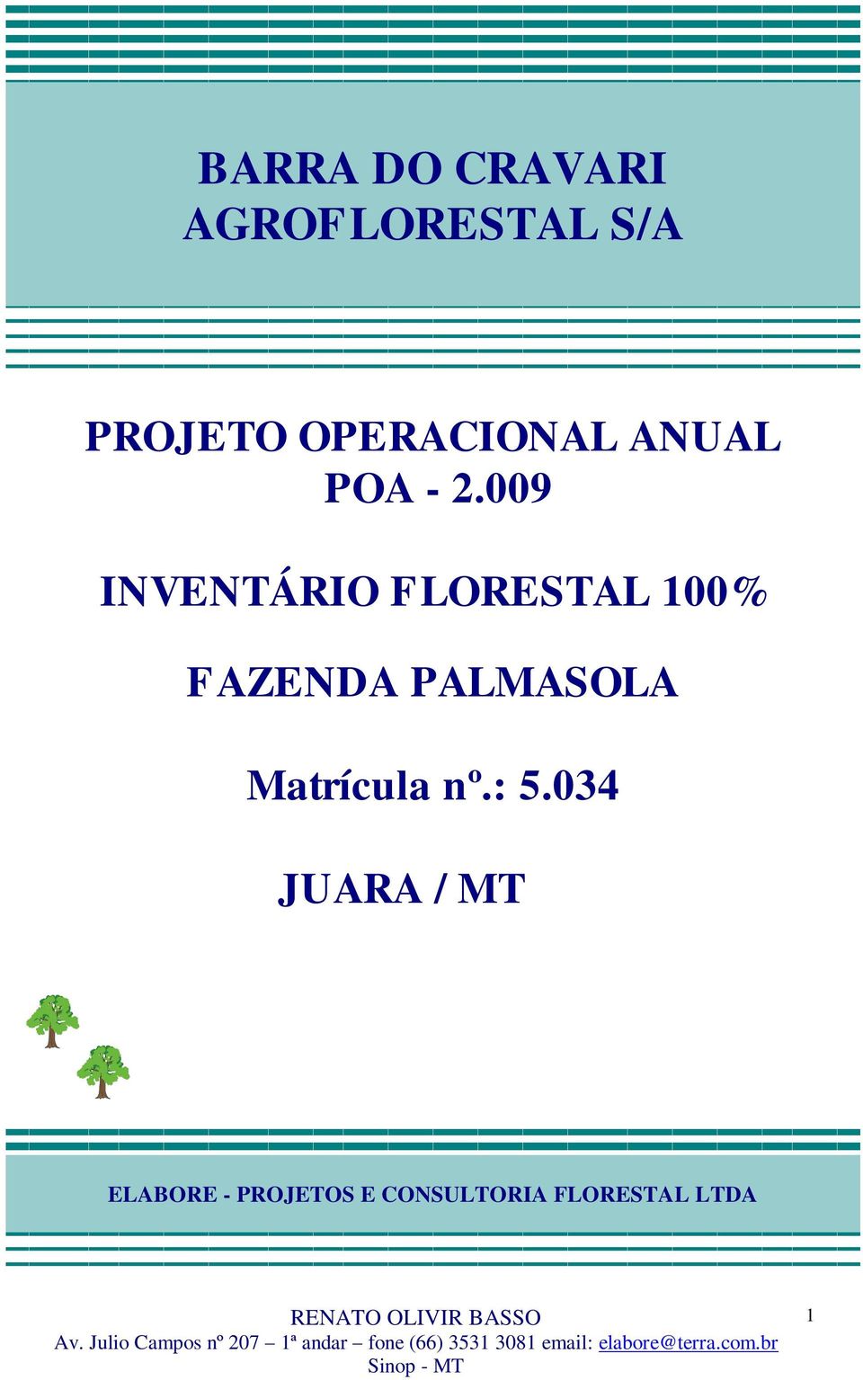 009 INVENTÁRIO FLORESTAL 100% FAZENDA PALMASOLA