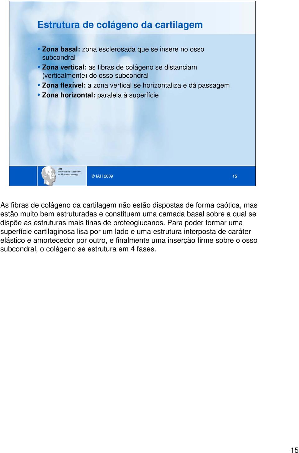 forma caótica, mas estão muito bem estruturadas e constituem uma camada basal sobre a qual se dispõe as estruturas mais finas de proteoglucanos.