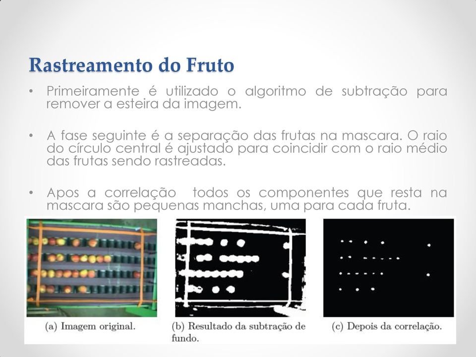 O raio do círculo central é ajustado para coincidir com o raio médio das frutas sendo