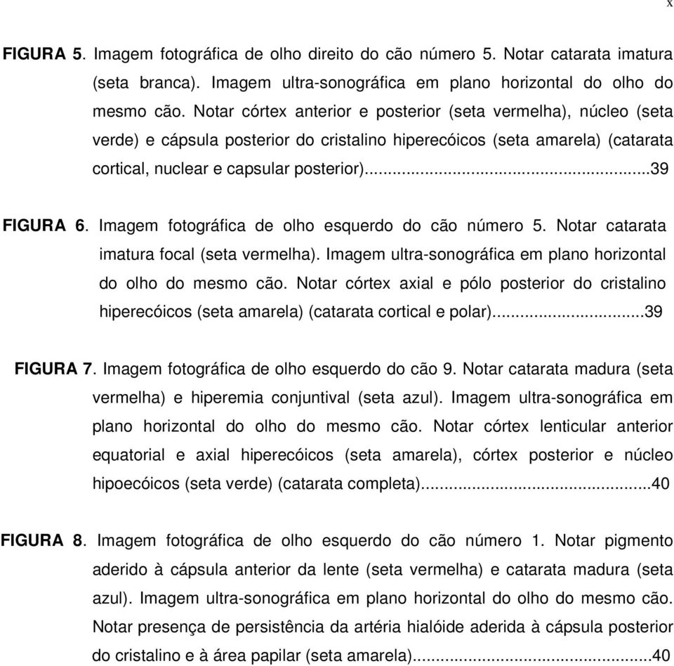 Imagem fotográfica de olho esquerdo do cão número 5. Notar catarata imatura focal (seta vermelha). Imagem ultra-sonográfica em plano horizontal do olho do mesmo cão.