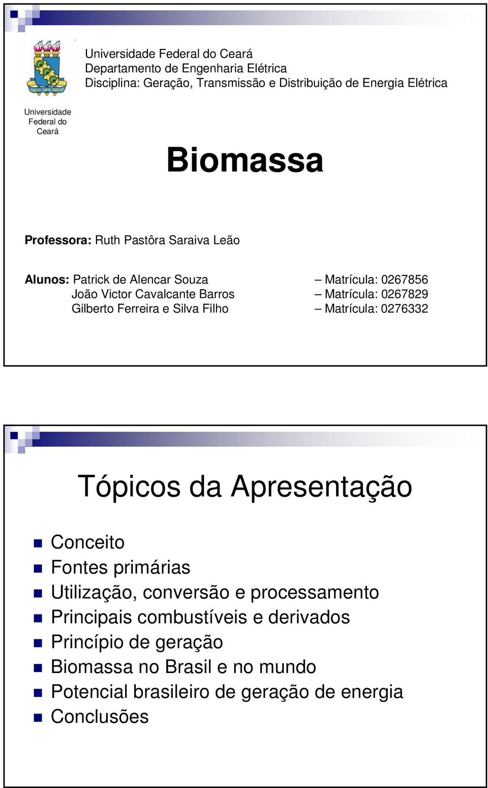 Matrícula: 0267829 Gilberto Ferreira e Silva Filho Matrícula: 0276332 Tópicos da Apresentação Conceito Fontes primárias Utilização, conversão e