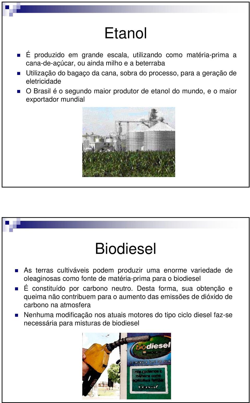 uma enorme variedade de oleaginosas como fonte de matéria-prima para o biodiesel É constituído por carbono neutro.
