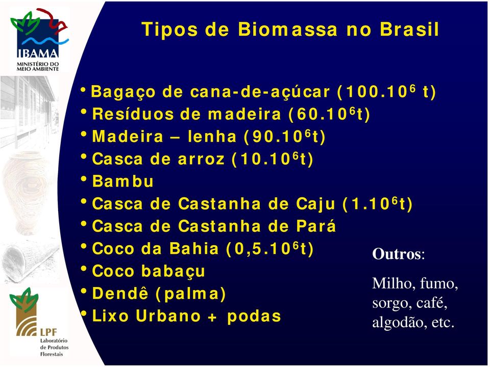 10 6 t) hbambu hcasca de Castanha de Caju (1.