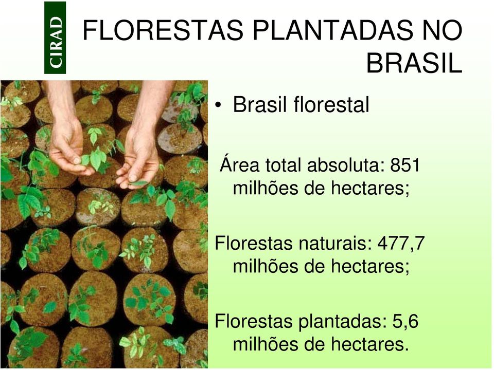 Florestas naturais: 477,7 milhões de hectares;