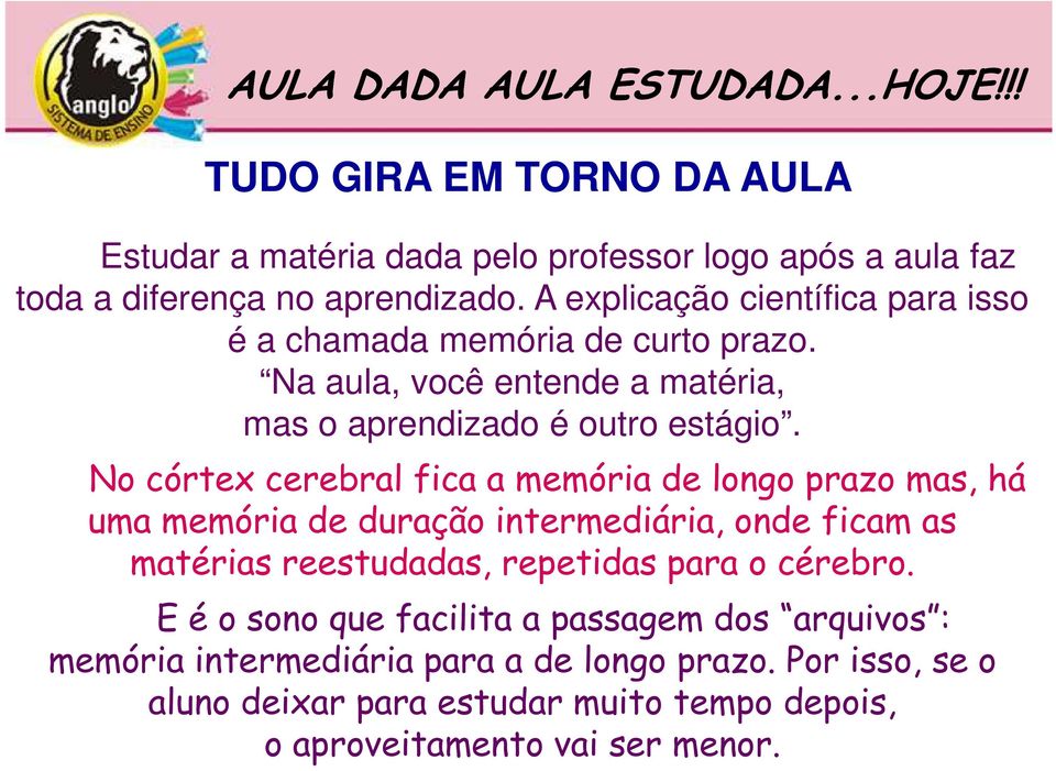 No córtex cerebral fica a memória de longo prazo mas, há uma memória de duração intermediária, onde ficam as matérias reestudadas, repetidas para o cérebro.