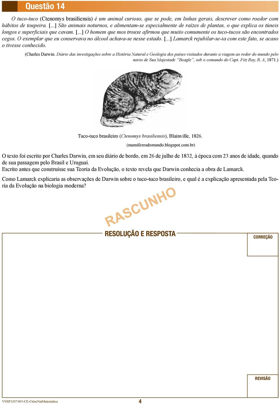 ..] O homem que mos trouxe afirmou que muito comumente os tuco-tucos são encontrados cegos. O exemplar que eu conservava no álcool achava-se nesse estado. [.